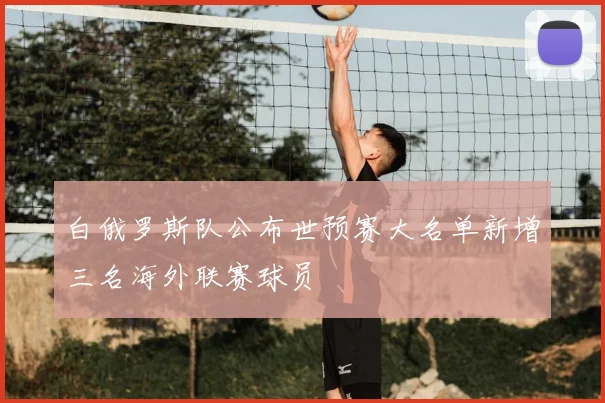 白俄罗斯队公布世预赛大名单新增三名海外联赛球员