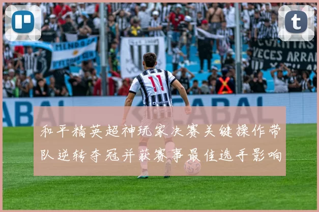 和平精英超神玩家决赛关键操作带队逆转夺冠并获赛事最佳选手影响晋级
